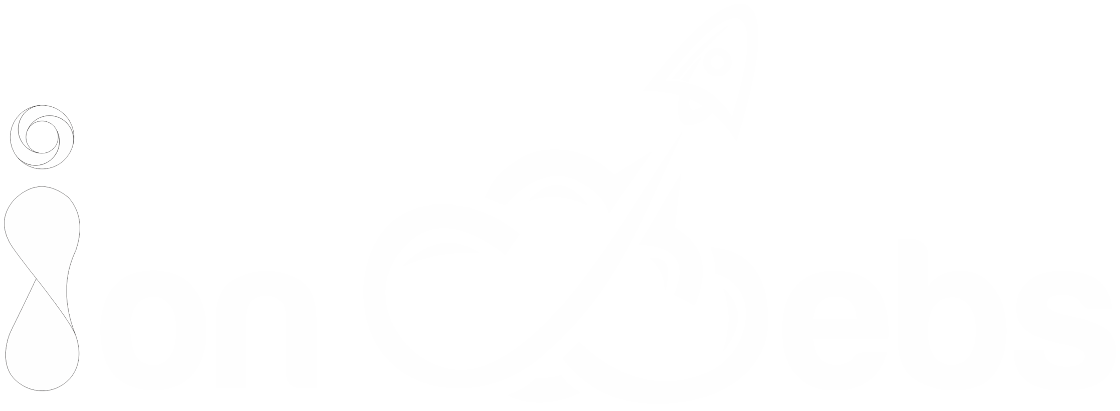 IonWebs